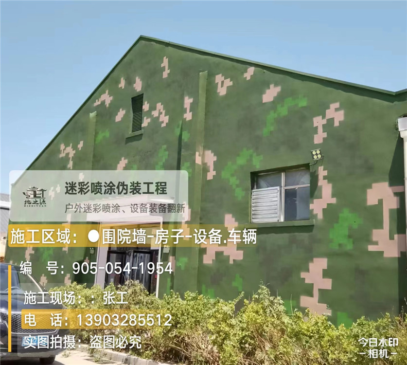 西藏外墙数码迷彩漆施工报价清单（100㎡标准墙面测算）